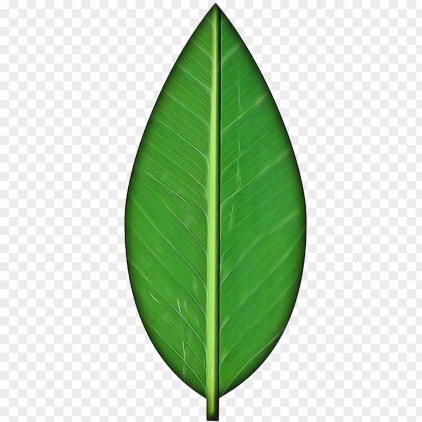 Tree Banana Leaf PNG