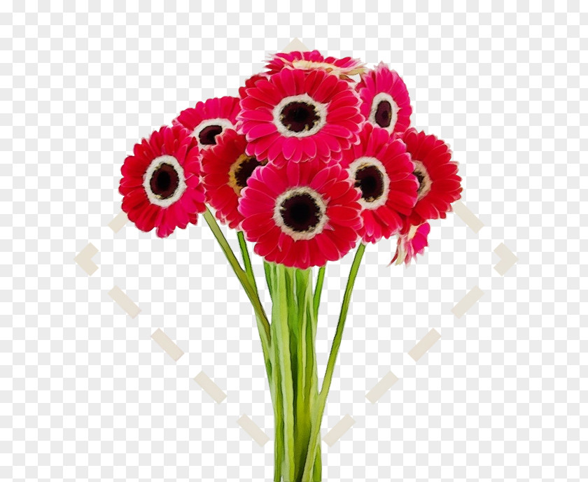 Artificial Flower Daisy Family Bouquet Of Flowers Drawing PNG