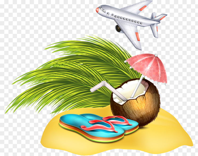 Coconut Slippers Aircraft Airplane Illustration PNG