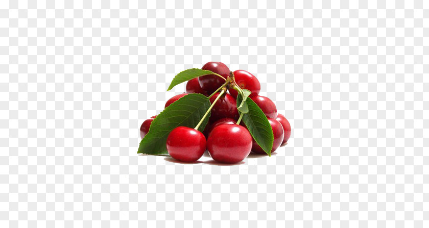 Juice Sour Cherry Sharbat Food PNG