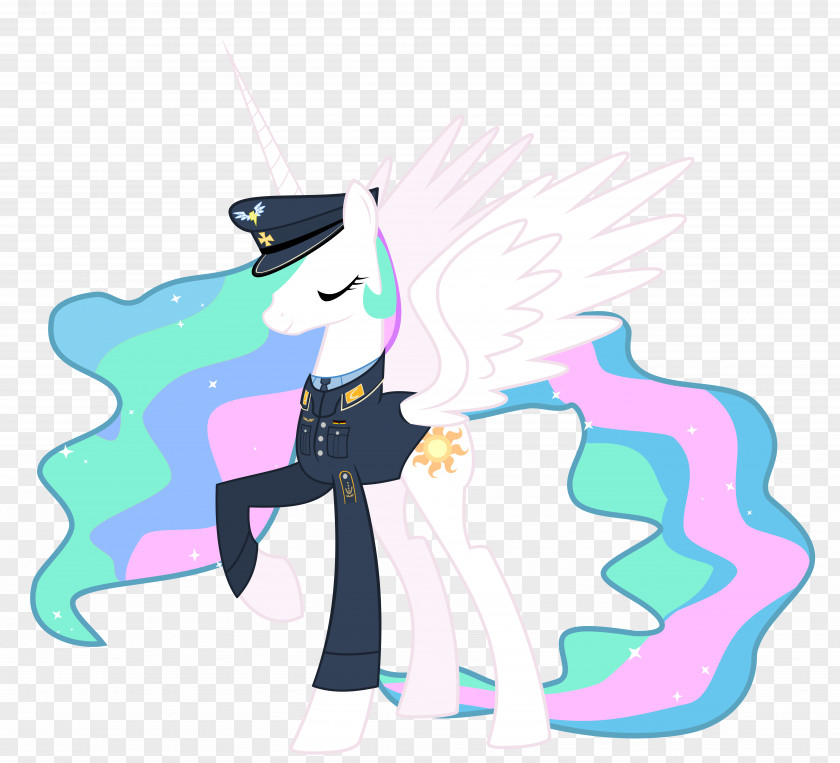 Military Twilight Sparkle Rainbow Dash Horse Pony PNG
