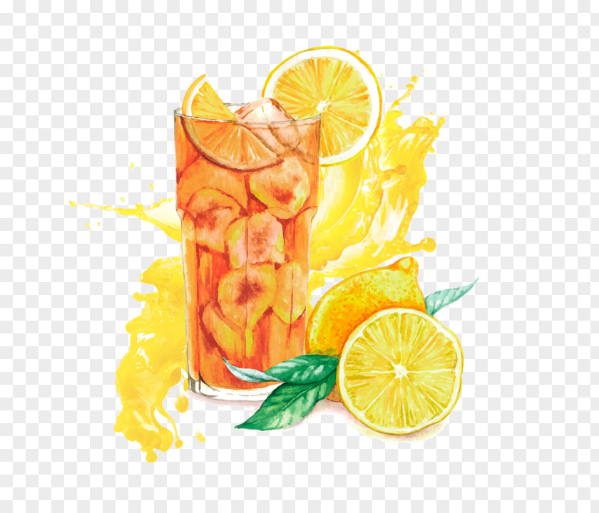 Orange Juice Cocktail Margarita Long Island Iced Tea Sloe Gin PNG