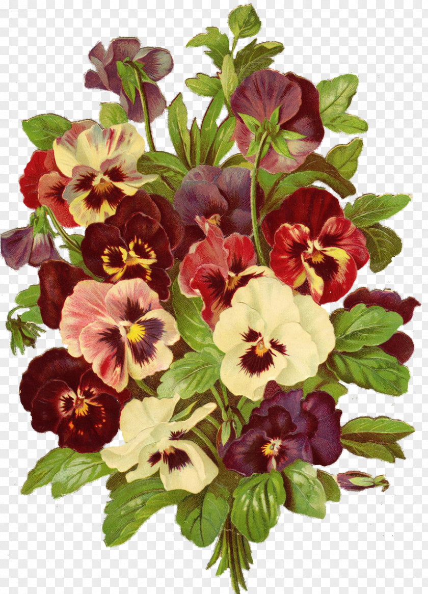 Pansy Cut Flowers Clip Art PNG