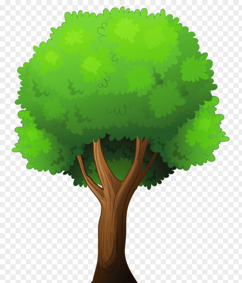 Trees Insignia Clip Art Illustration Vector Graphics Free Content PNG