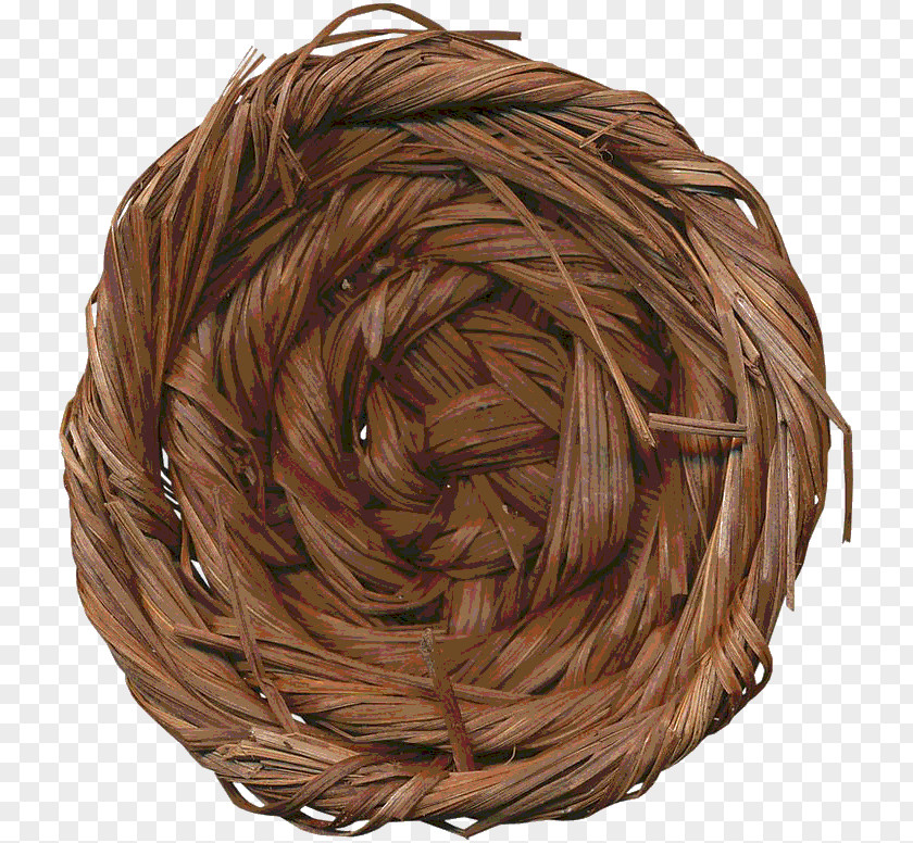 Yn Bird Nest PNG