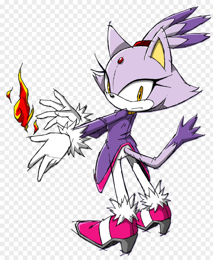 Blaze Sonic Rush The Hedgehog Mario & At Olympic Games Knuckles Amy Rose PNG