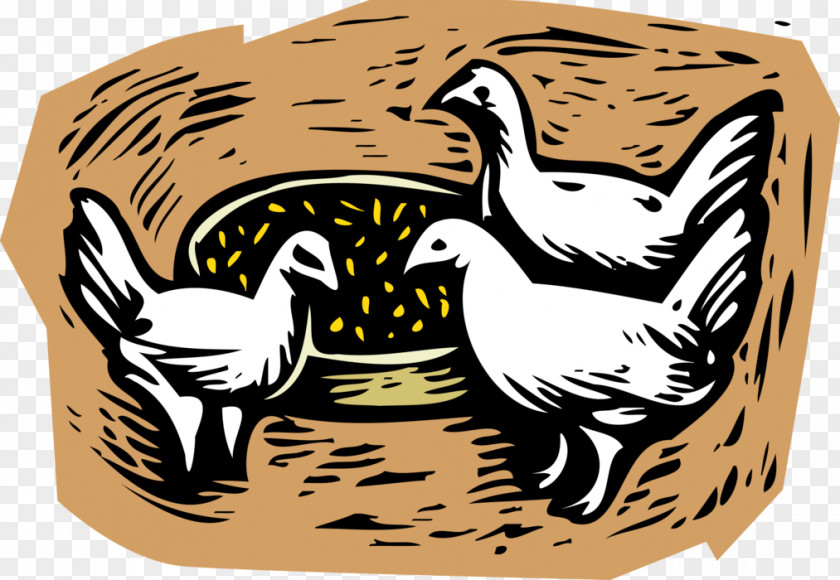 Chicken Clip Art Broiler Illustration Agriculture PNG