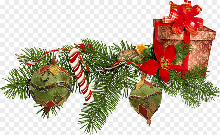 Christmas Ornament New Year Gift PNG