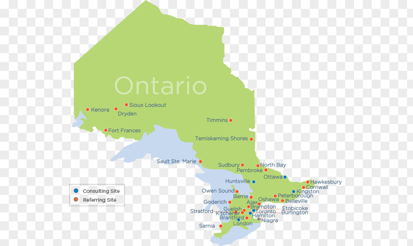 Ontario Telemedicine Network Telestroke: The Use Of In Stroke Care Health PNG