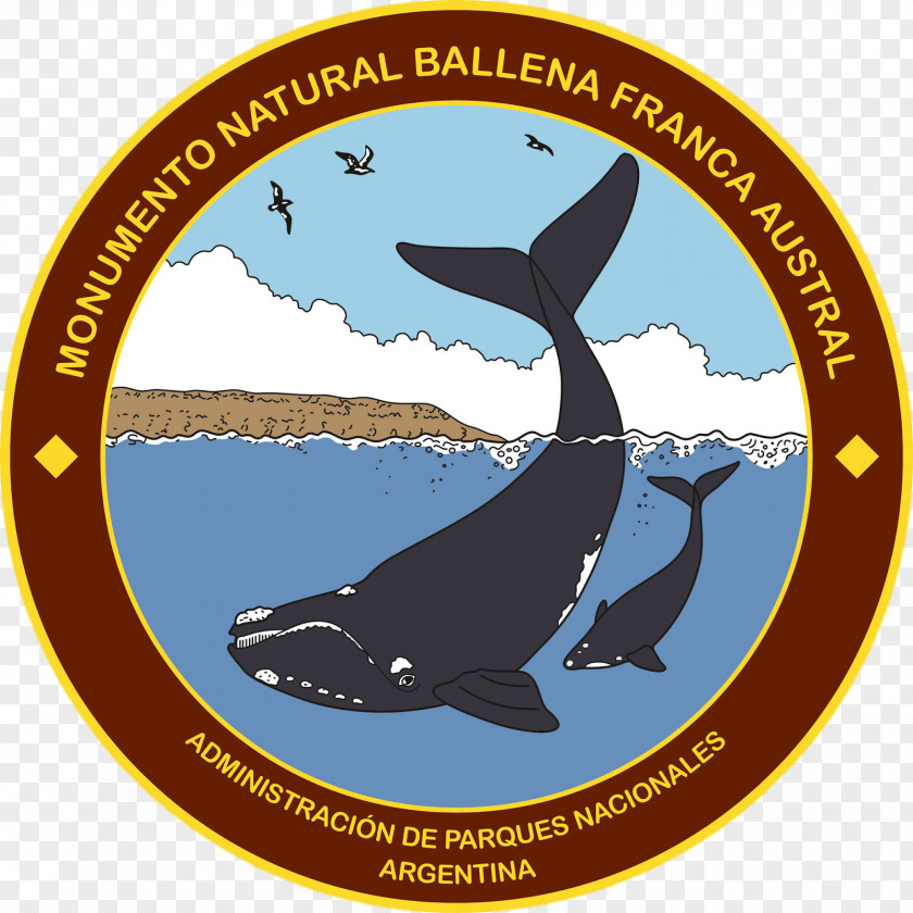 Parque Campo De Los Alisos National Park Marine Mammal Southern Right Whale Baritú Laguna Pozuelos PNG