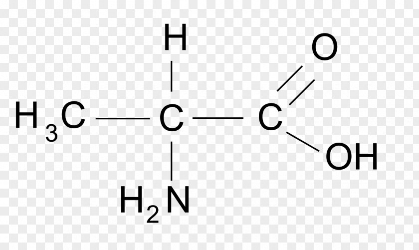 Proteinogenic Amino Acid Alanine Alpha-Ketoglutaric PNG