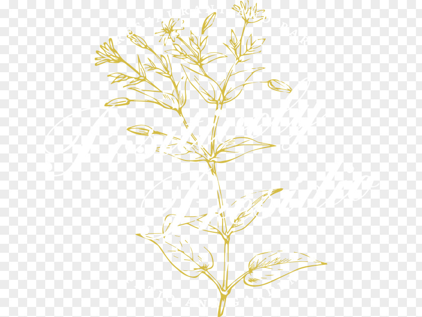 Accepting Applications For 911 Twig Plant Stem Leaf Commodity Flower PNG