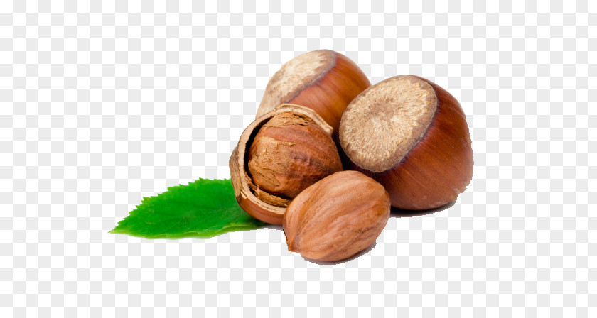 Acorn Hazelnut Food Flavor PNG