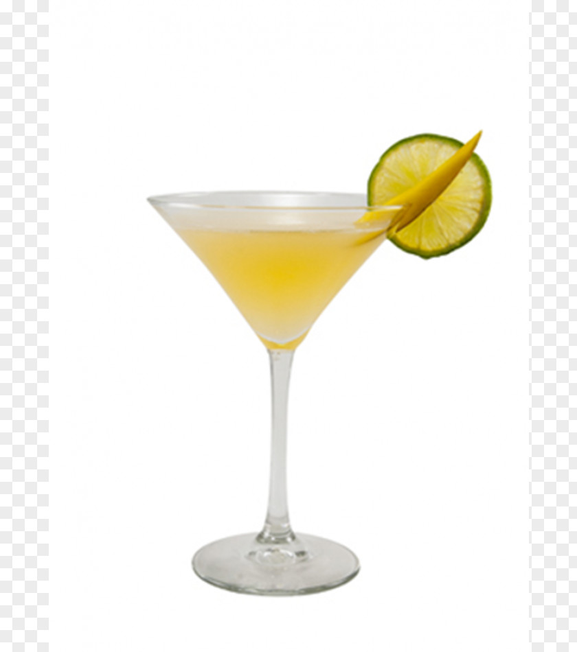 Cocktail Garnish Daiquiri Monin, Inc. Martini PNG