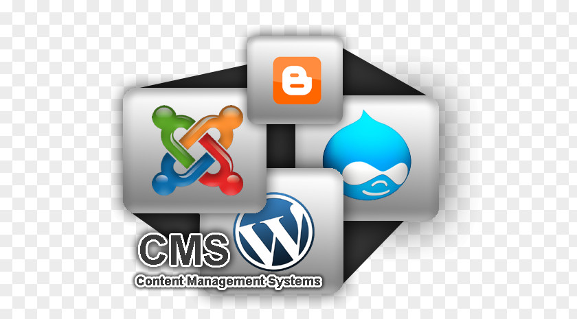 Content Management System Web Development WordPress PNG