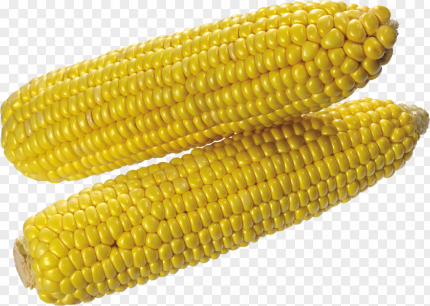 Corn Maize Transparent Images On The Cob Sweet Corncob PNG