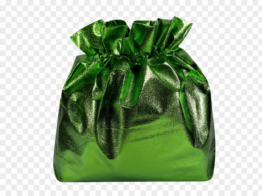 Handbag Leaf Product PNG