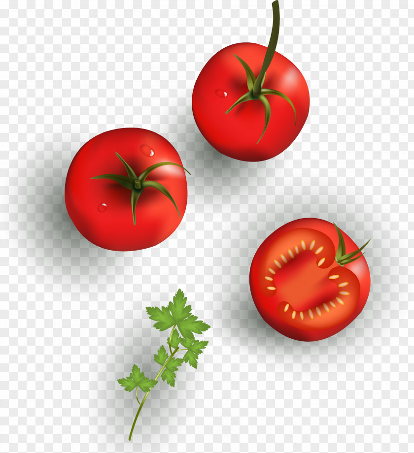 Indonesian Vegetables Poster Cherry Tomato Clip Art Vector Graphics Bush PNG