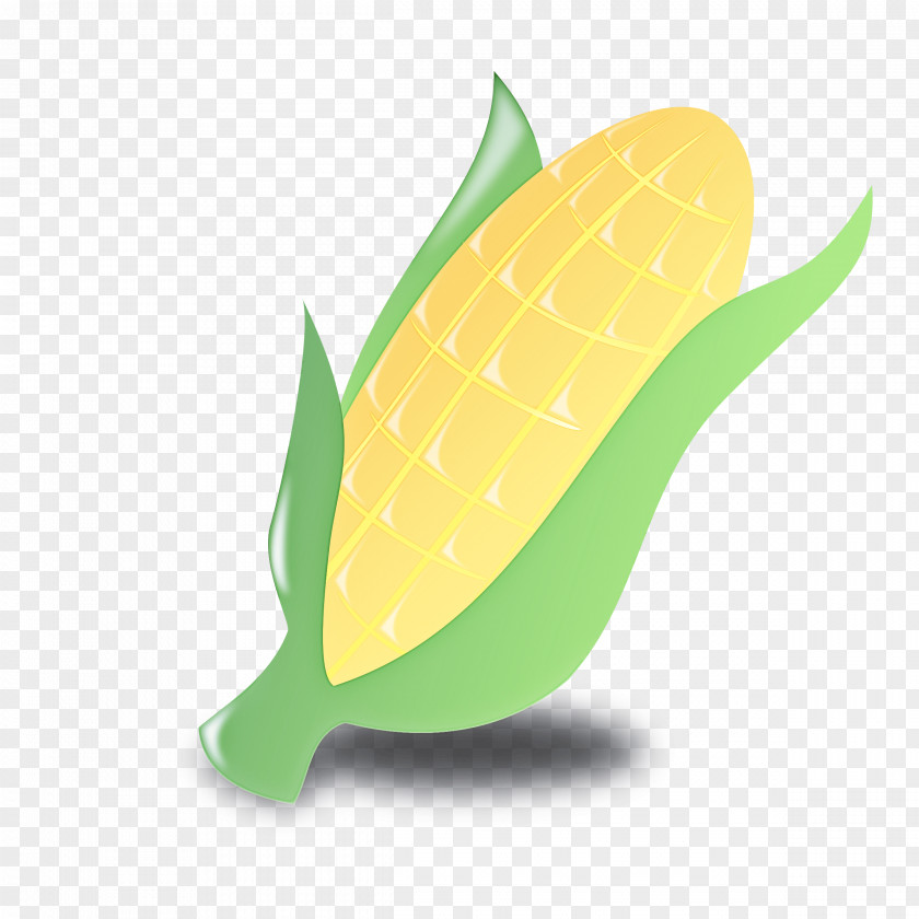 Leaf Yellow Logo Plant Fruit PNG