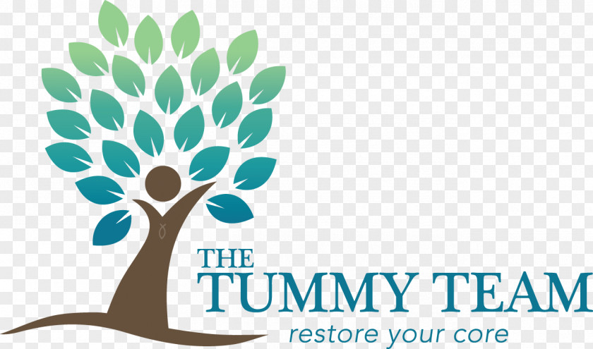 The Tummy Team Diastasis Recti Camas Physical Therapy Pregnancy PNG
