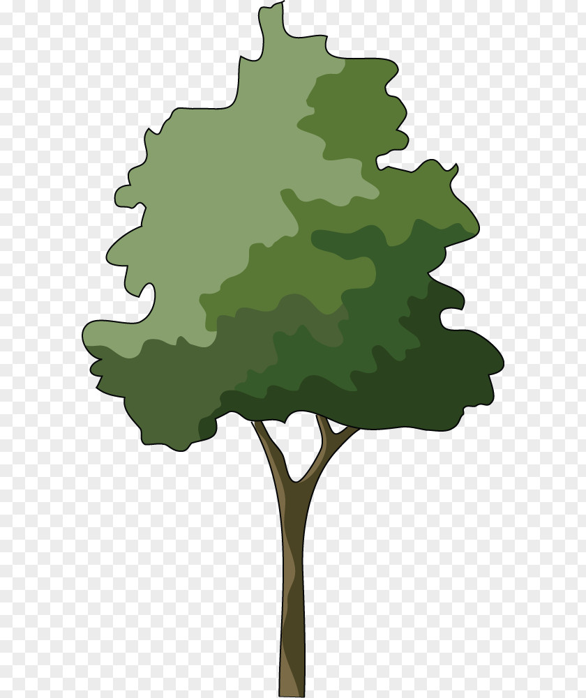 Trees Illustrations Branch Japanese Maple Tree Clip Art PNG