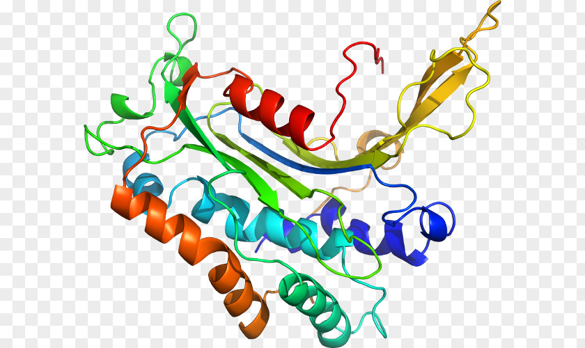 Glucose6phosphate Dehydrogenase Deficiency Clip Art Product Organism Line Special Olympics Area M PNG