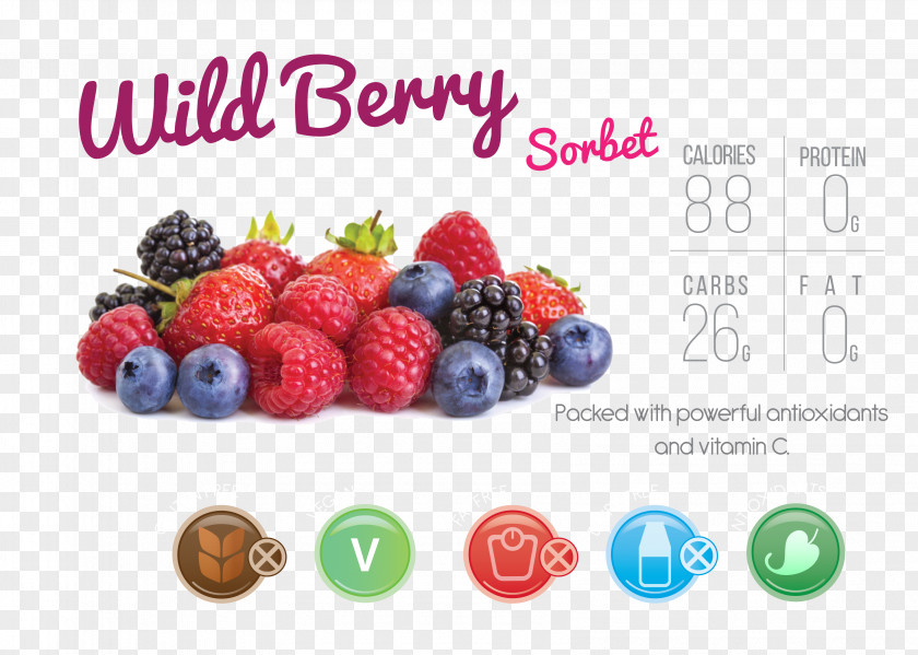 Juice Berry Fruit Electronic Cigarette Aerosol And Liquid Food PNG