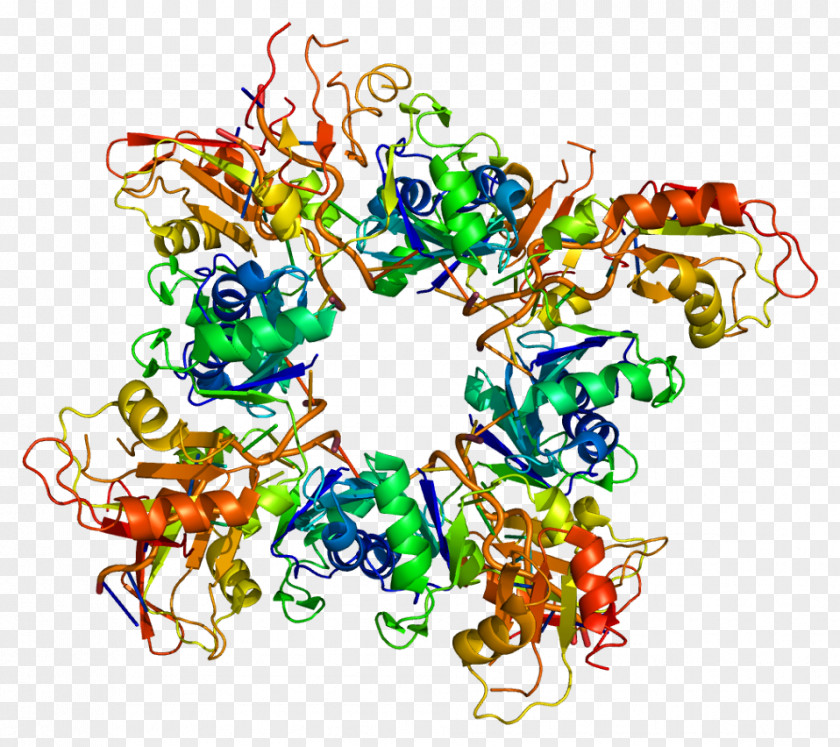 Poly(A)-binding Protein Polyadenylation RNA-binding PNG