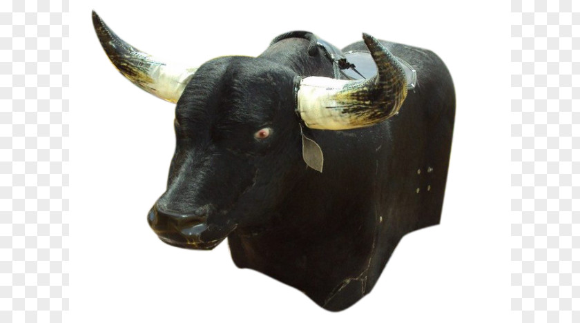 Toro Bull Cattle Ox Horn Snout PNG