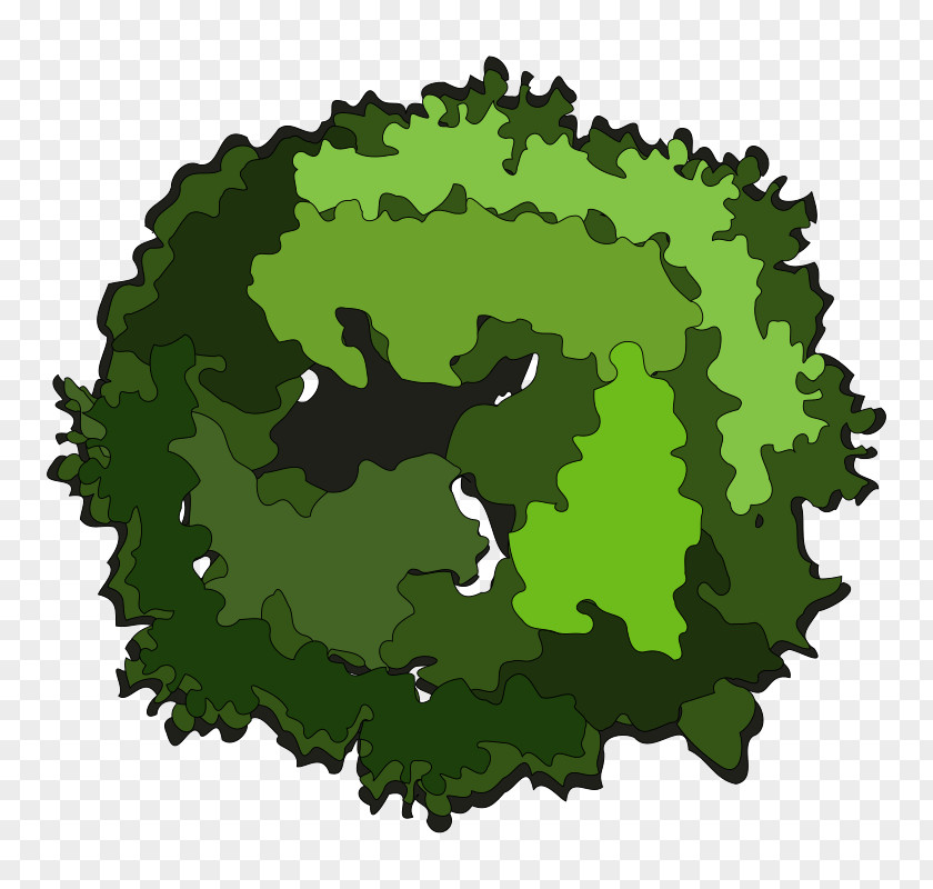 Tree Top View Stock Photography Clip Art PNG