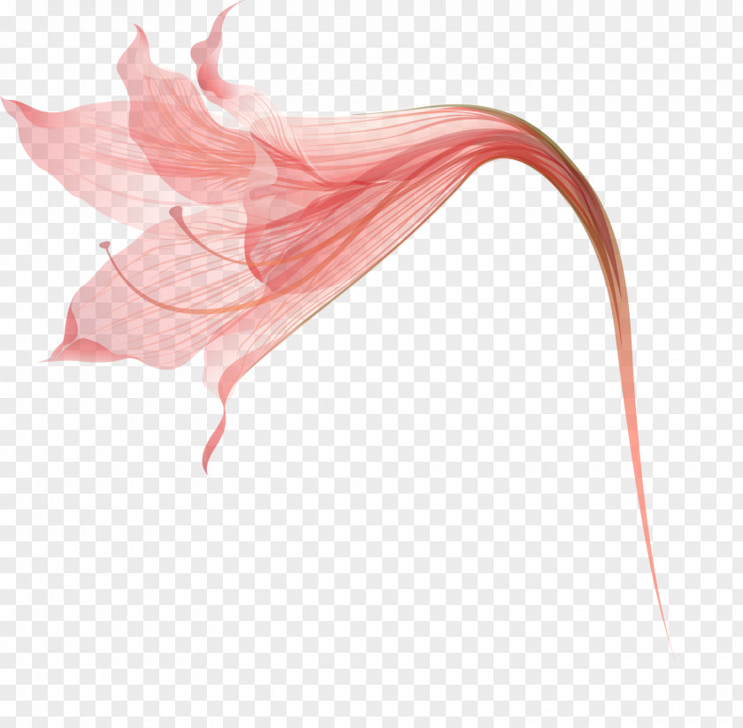 Vector Flowers Petal Lilium Pink PNG