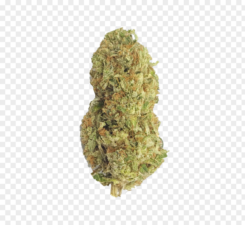 Cannabis Gorilla Glue 4 Kush Tetrahydrocannabinol PNG