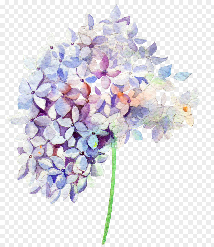 Flowers PNG