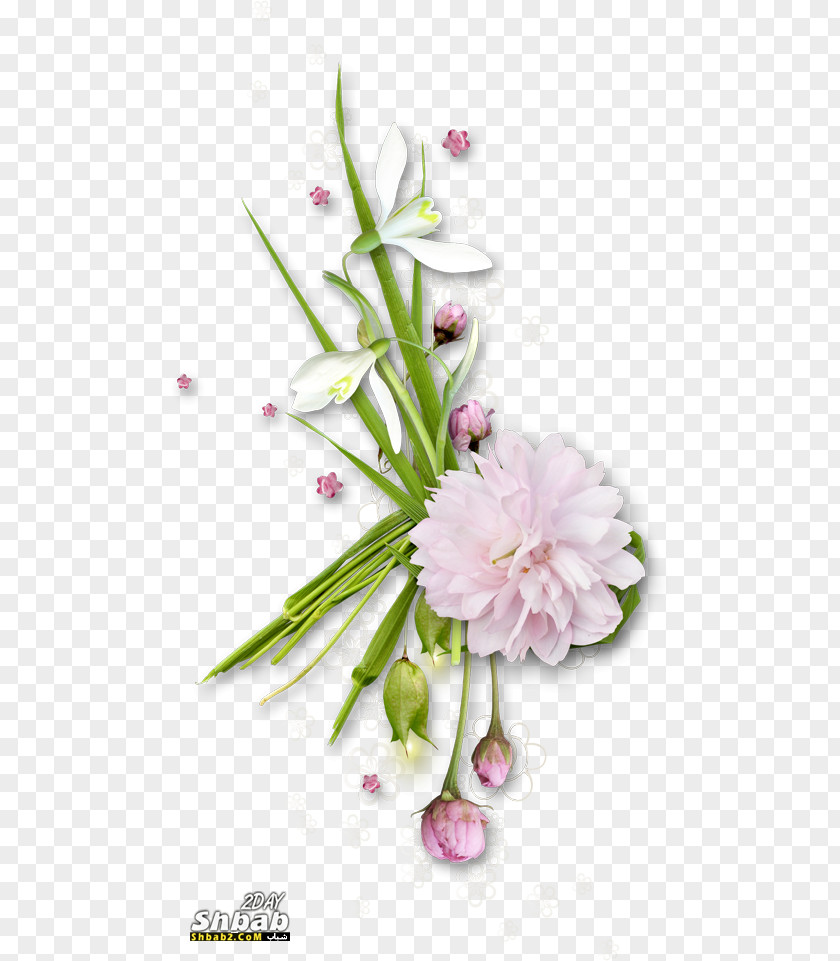 Lovely Vertical Borders Flower Photography Clip Art PNG