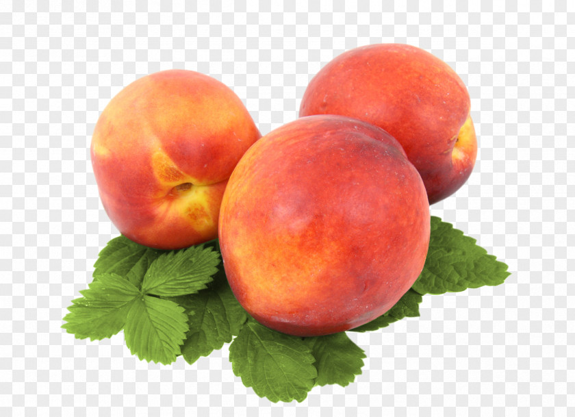 Peach Fruit Food Clip Art Image PNG
