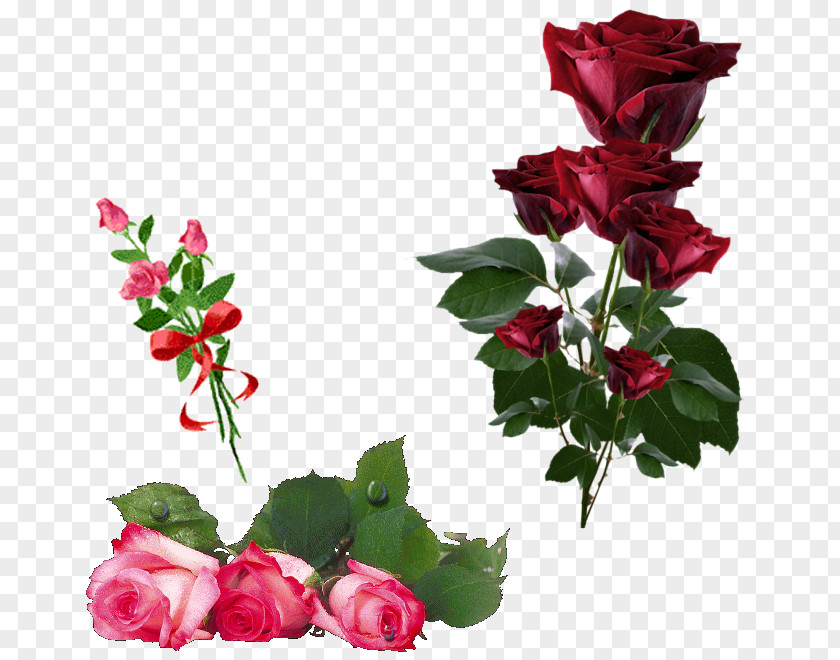 Rose Garden Roses Artificial Flower Clip Art PNG