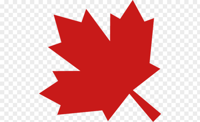 Flag Of Canada Illustration T Shirt Design PNG