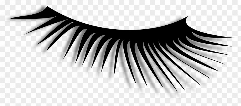 Lash Eyelash Extensions Drawing Clip Art PNG