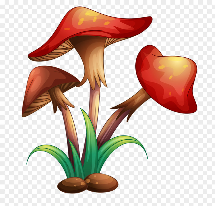 Mushroom Royalty-free Illustrator PNG