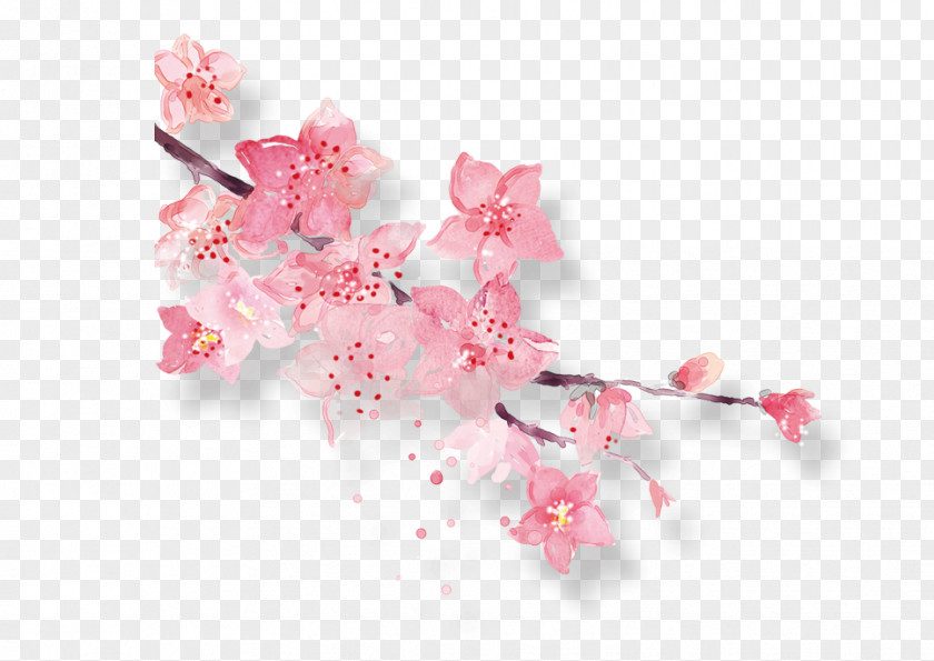 Pink Peach Blossom PNG