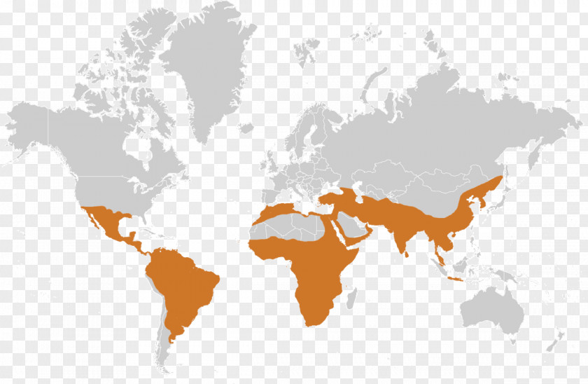 Scientific Diet World Map Globe PNG