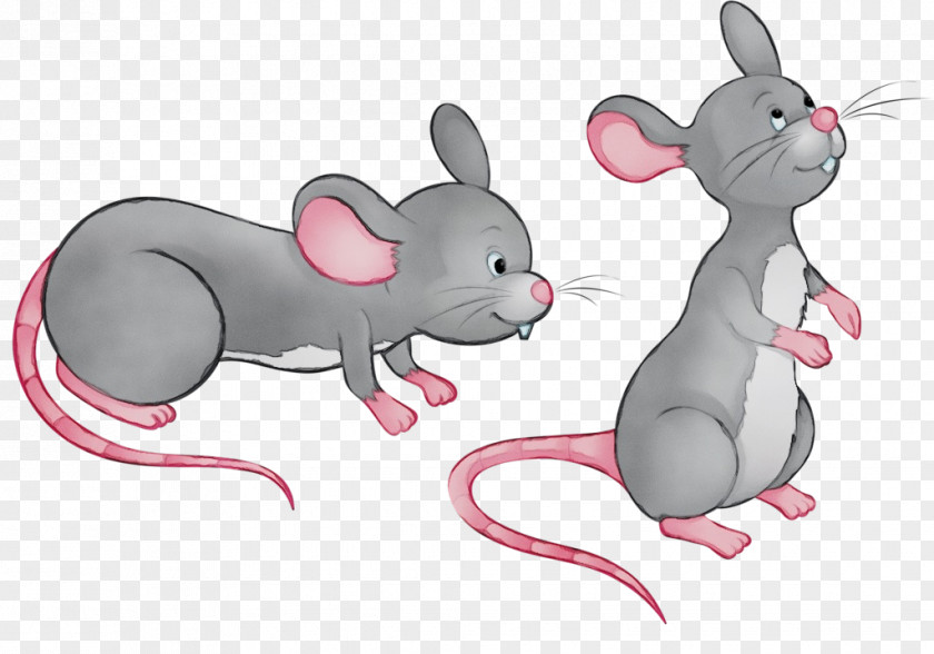 Snout Muroidea Rat Mouse Cartoon Muridae Pest PNG