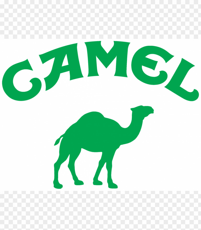 Camel Logo Mammal Carnivora Formula 1 Horse PNG