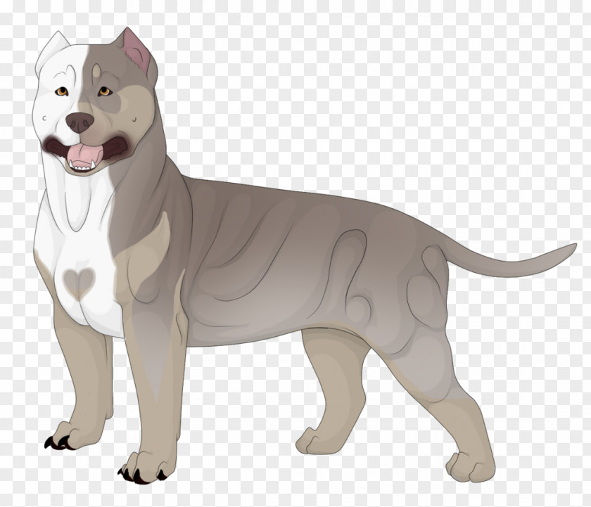 Cat Dog Breed Tail PNG