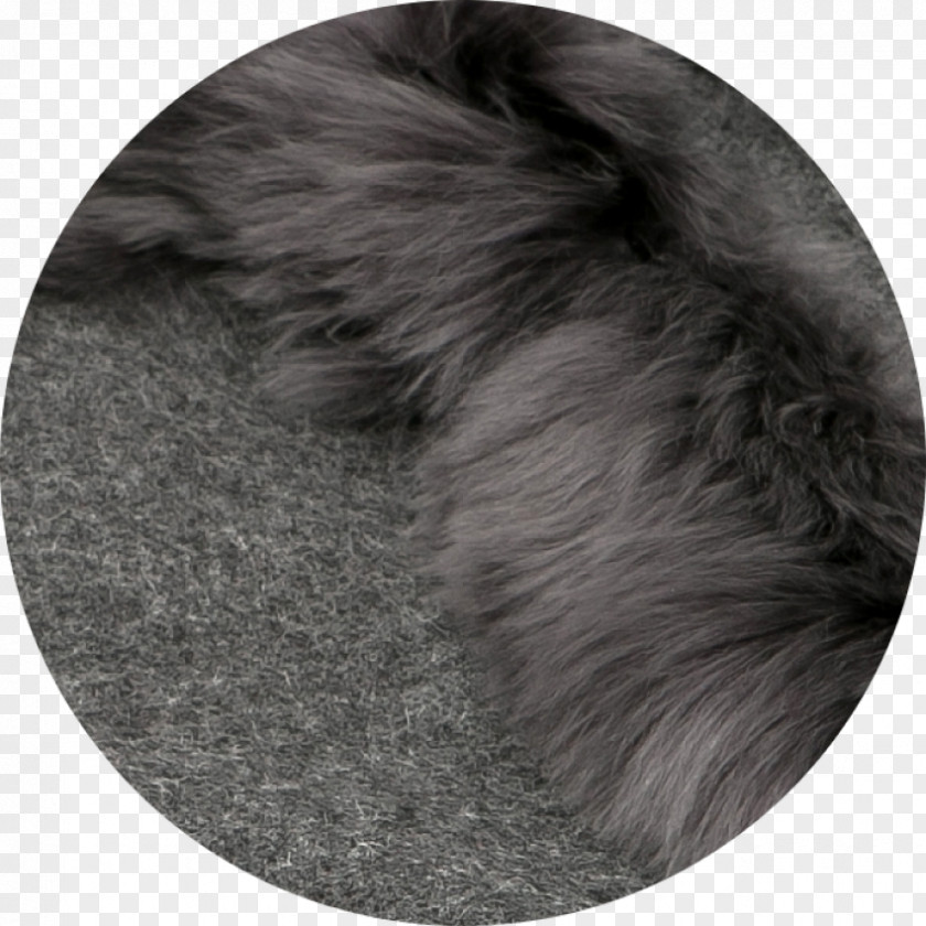 Fur Blanket Snout PNG