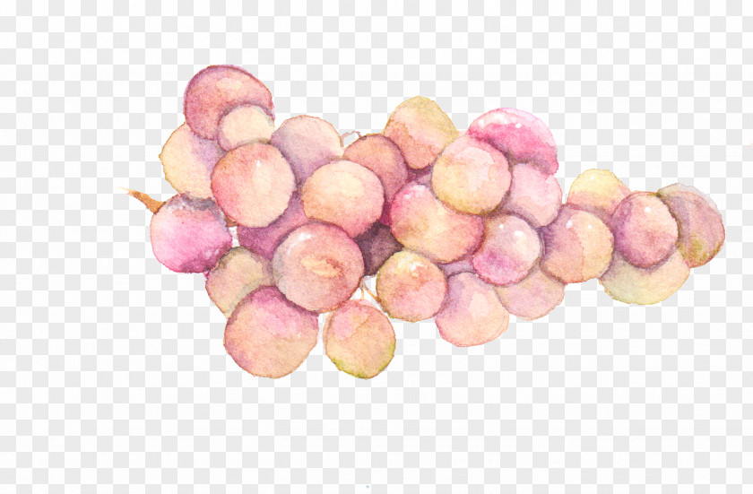 Hand-painted Watercolor Grapes Painting Grape PNG