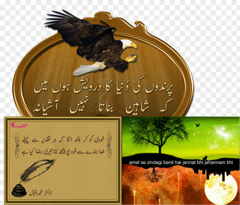 Insha Allah Shikwa And Jawab-e-Shikwa Urdu Poetry Pakistan PNG