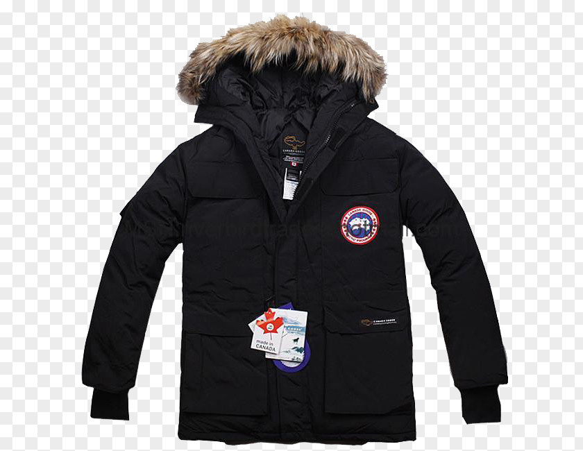 Jacket Hoodie Canada Goose Parka Coat PNG