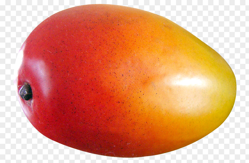 Mango Fruit Sago Soup PNG