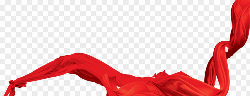 Red Ribbon Computer File PNG